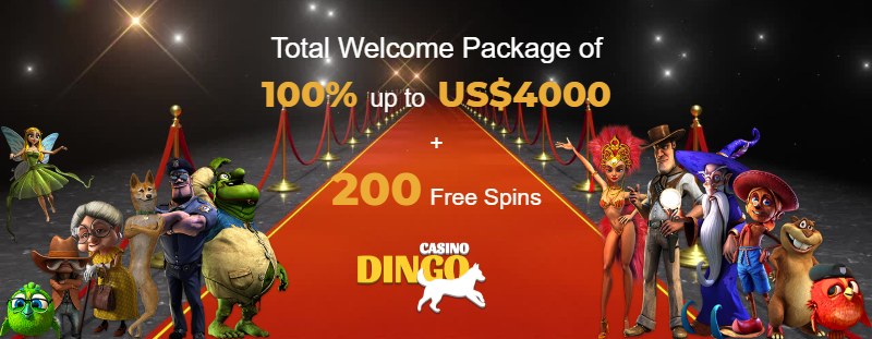 Casino Dingo Bonus 