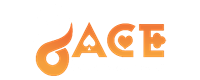 96ACE logo Casubi